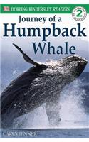 Journey of a Humpback Whale