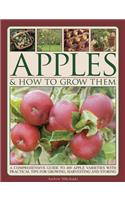 Apples & How to Grow Them