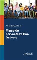 Study Guide for Miguelde Cervantes's Don Quixote