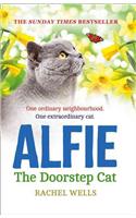 Alfie the Doorstep Cat