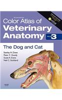 Color Atlas of Veterinary Anatomy, Volume 3