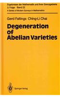 Degeneration of Abelian Varieties