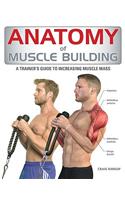 Anatomy of Muscle Building