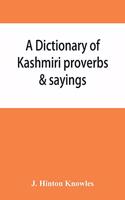 dictionary of Kashmiri proverbs & sayings