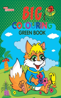 Big Colouring Green Book for 5 to 9 years Old Kids Fun Activity and Colouring Book for Children