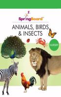 SpringBoard - Animals, Birds & Insects - Nursery 2-4 years