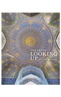 Art of Looking Up