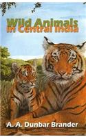 Wild Animals in Central India