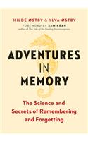 Adventures in Memory