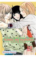 Kimi Ni Todoke: From Me to You, Vol. 18