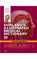 Dorland's Illustrated Medical Dictionary