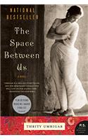 The Space Between Us: A Novel