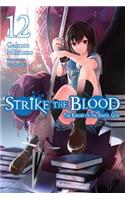 Strike the Blood, Vol. 12 (light novel)