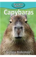 Capybaras