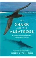 Shark and the Albatross