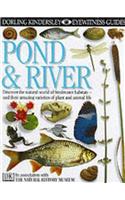 Pond and River (Eyewitness Guides)