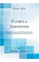 Florula Adenensis: A Systematic Account, with Descriptions, of the Flowering Plants Hitherto Found at Aden (Classic Reprint)