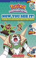 Pokémon: Now You See It! Kalos Edition