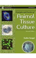 P And P Of Animal Tissue Culture (Revised)