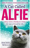 A A Cat Called Alfie Cat Called Alfie