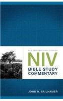 NIV Bible Study Commentary