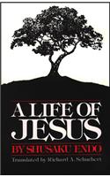 Life of Jesus