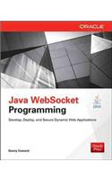 Java Websocket Programming