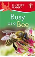 Kingfisher Readers: Busy as a Bee (Level 1: Beginning to Read)