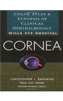 Color Atlas & Synopsis of Clinical Ophthalmology (Wills Eye Institute)-Cornea, 2/e