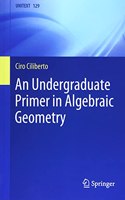 An Undergraduate Primer in Algebraic Geometry