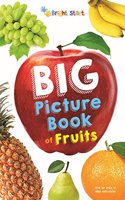 Big Picture Book Of Fruits