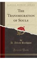 The Transmigration of Souls (Classic Reprint)