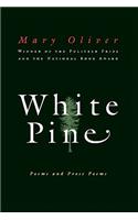 White Pine