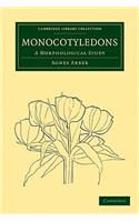 Monocotyledons