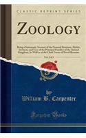 Zoology, Vol. 2 of 2: Being a Systematic Account of the General Structure, Habits, Instincts, and Uses of the Principal Families of the Animal Kingdom; As Well as of the Chief Forms of Fossil Remains (Classic Reprint)