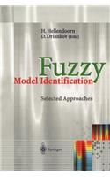 Fuzzy Model Identification