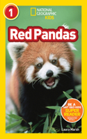 Red Pandas (National Geographic Kids Readers, Level 1)