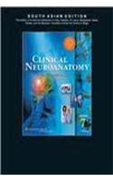 Clinical Neuroanatomy