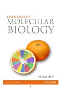 Essentials of Molecular Biology