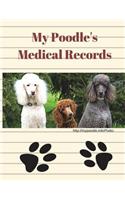 My Poodle's Medical Records