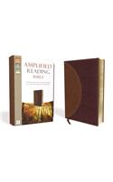 Amplified Reading Bible, Imitation Leather, Brown