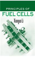 Principles of Fuel Cells