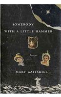 Somebody with a Little Hammer: Essays