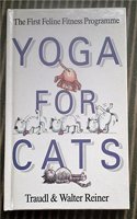 Yoga for Cats