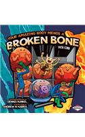 Your Amazing Body Mends a Broken Bone