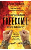 Deliverance Solution Wisdom - Freedom I