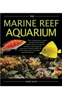 Marine Reef Aquarium