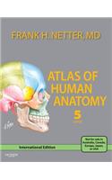 Atlas Of Human Anatomy,IE,