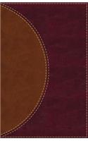 Amplified Reading Bible, Imitation Leather, Brown, Indexed