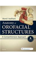 Anatomy of Orofacial Structures